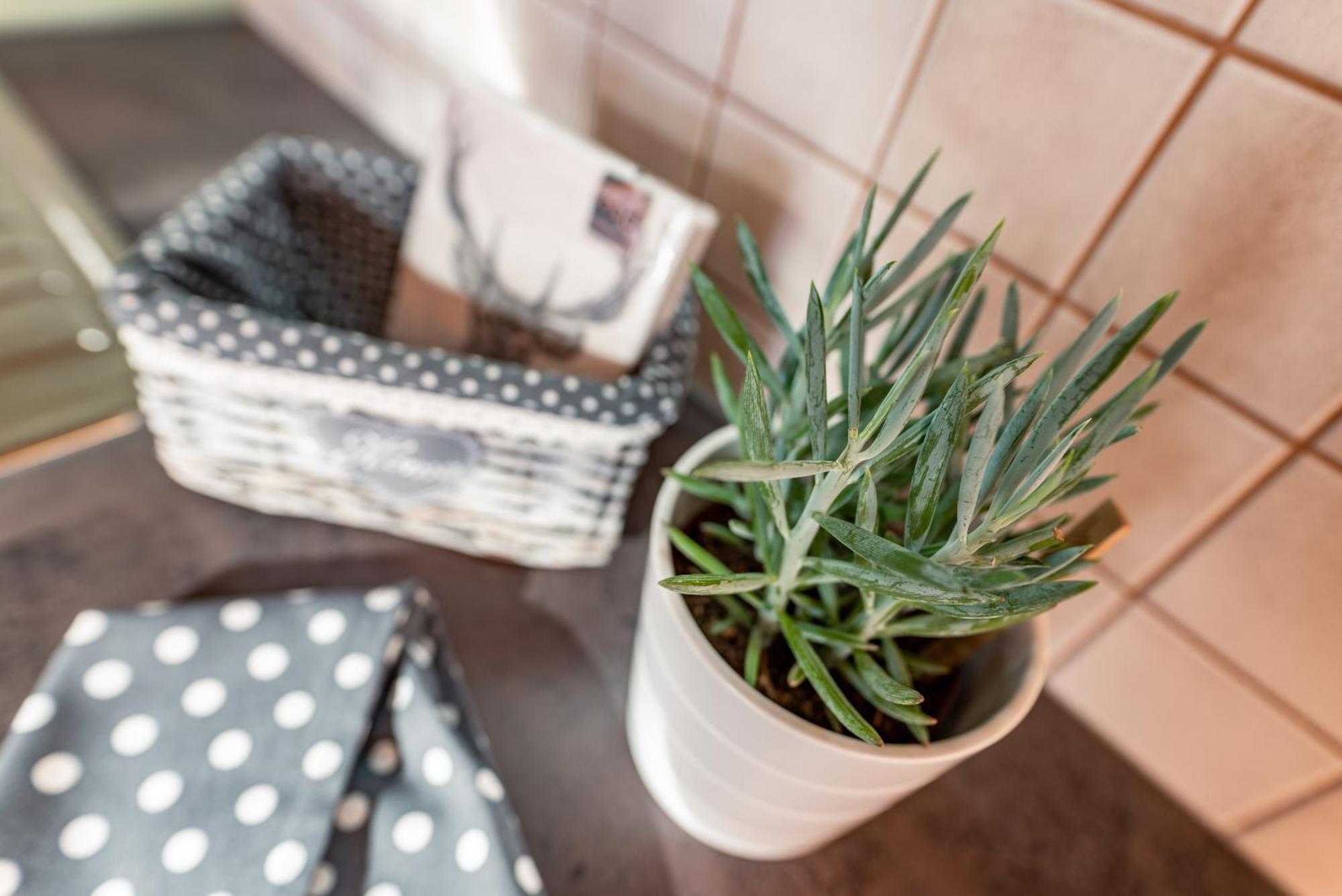 Wellnesshaus Reichelt Aparthotel Radstadt Phòng bức ảnh